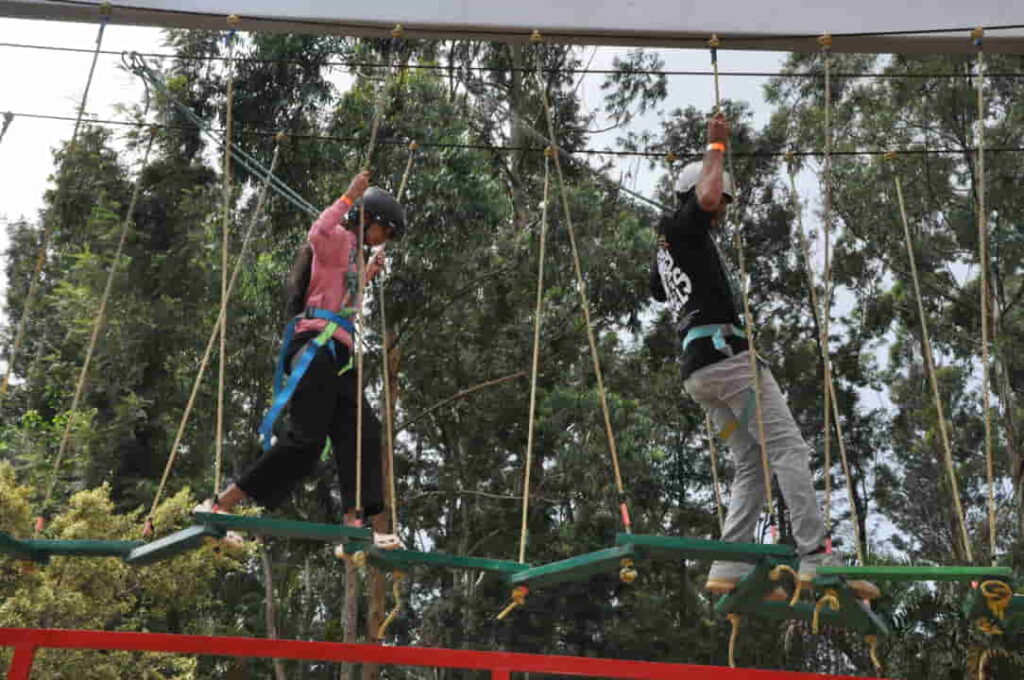 OBT - 071025 (12)